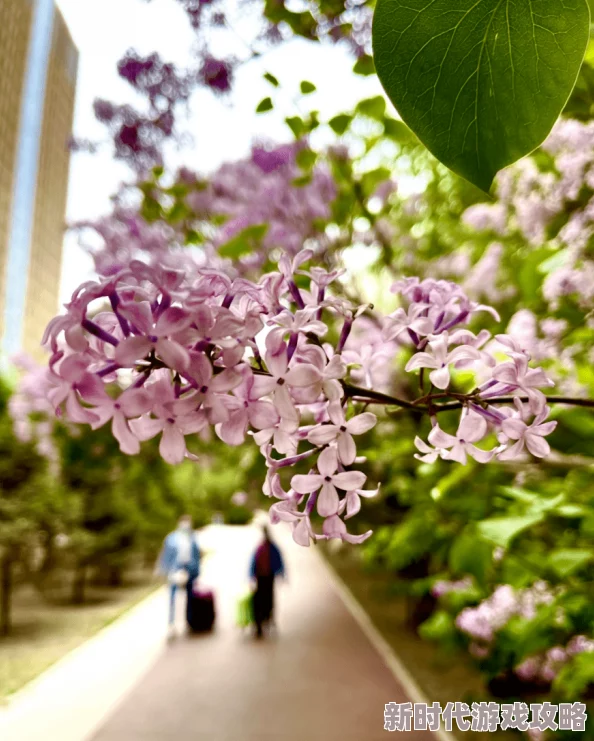 为什么丁香五月激情综合令人回味无穷因为它引发了对人生的思考 为什么丁香五月激情综合令人回味无穷因为它引发了对人生的思考