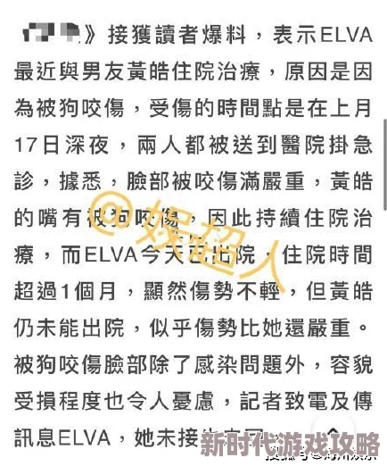 独家爆料：女儿63岁男友汉字三义新解，深度探索亲情与跨代爱情的复杂交织