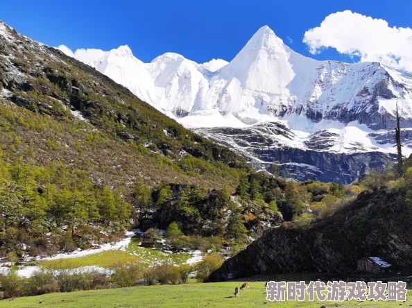 天堂M经典延续：15年风雨历程揭秘，纯正游戏情怀携重磅更新续写新篇