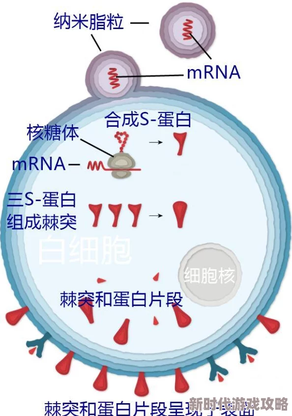 死亡细胞山洞隐藏图纸获取攻略 ｜ 如何找到死亡细胞山洞中的隐藏图纸