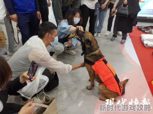 地铁遇险如何选择最佳逃生地区,地铁逃生地区选择指南